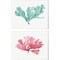 Mixed Greens 2 by Lisa Audit, 2 Piece Canvas Art Set 16x20 Inch